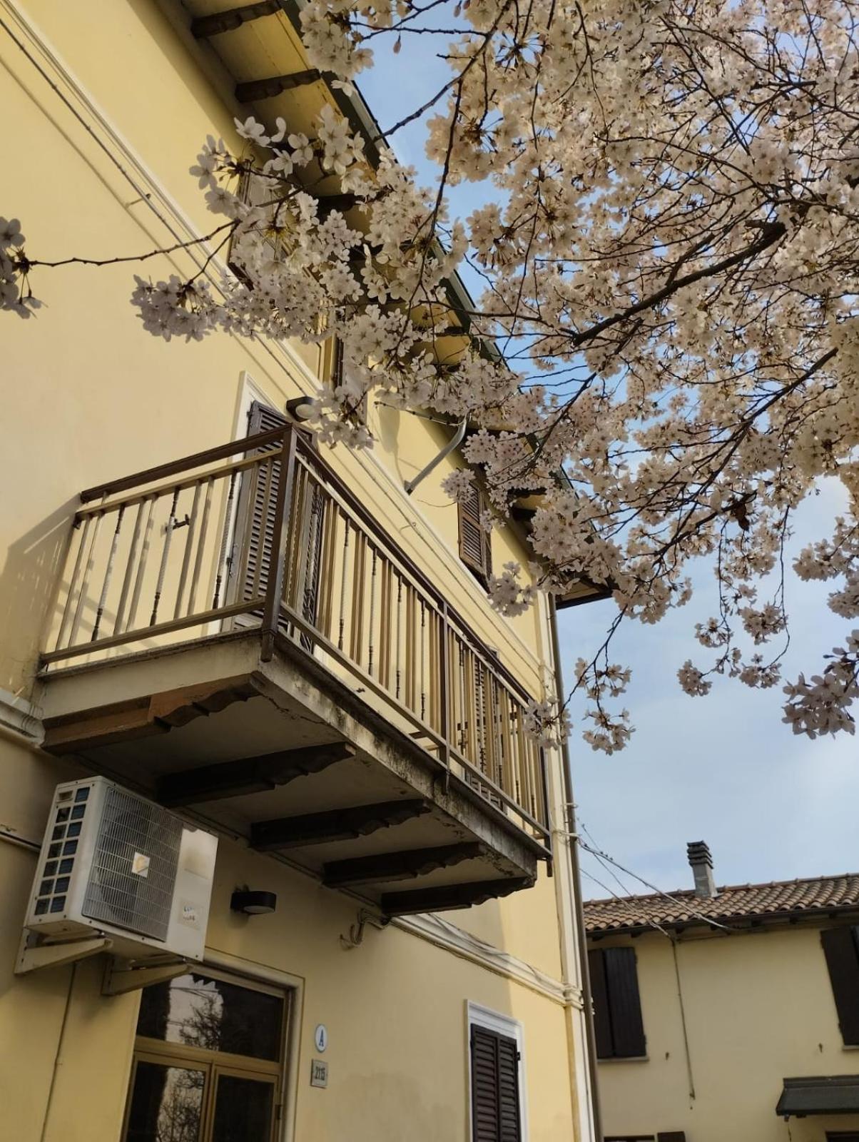 B&B La Quercia Di Mery La Villa  Exteriér fotografie